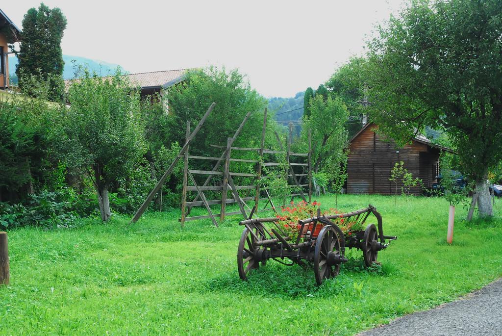 Vadul Lupilor Moisei Exterior foto