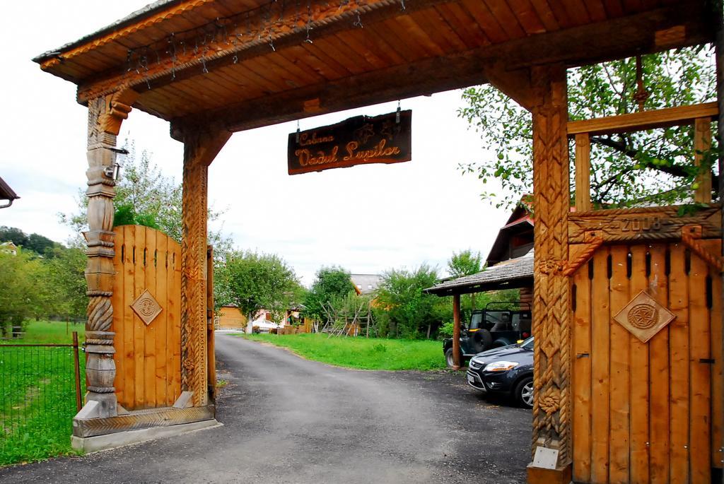 Vadul Lupilor Moisei Exterior foto